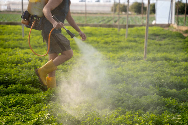 Best Mosquito Control Services  in Monticello, IA