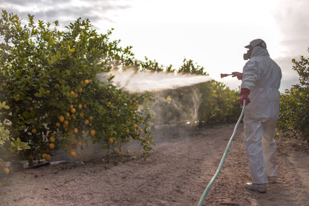 Best Pest Removal Services  in Monticello, IA