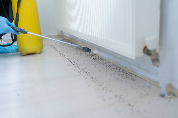 Pest Control for Restaurants in Monticello, IA